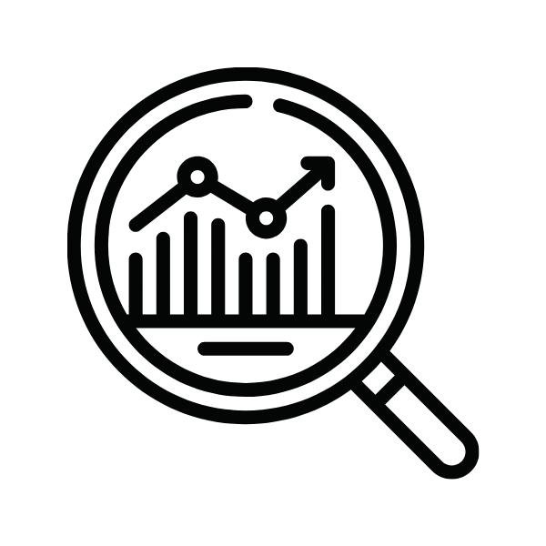 Data Analytics Consulting